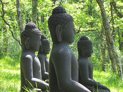 Ritiro Yoga e meditazione in Toscana