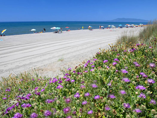 Vacanza Yoga al mare in Toscana