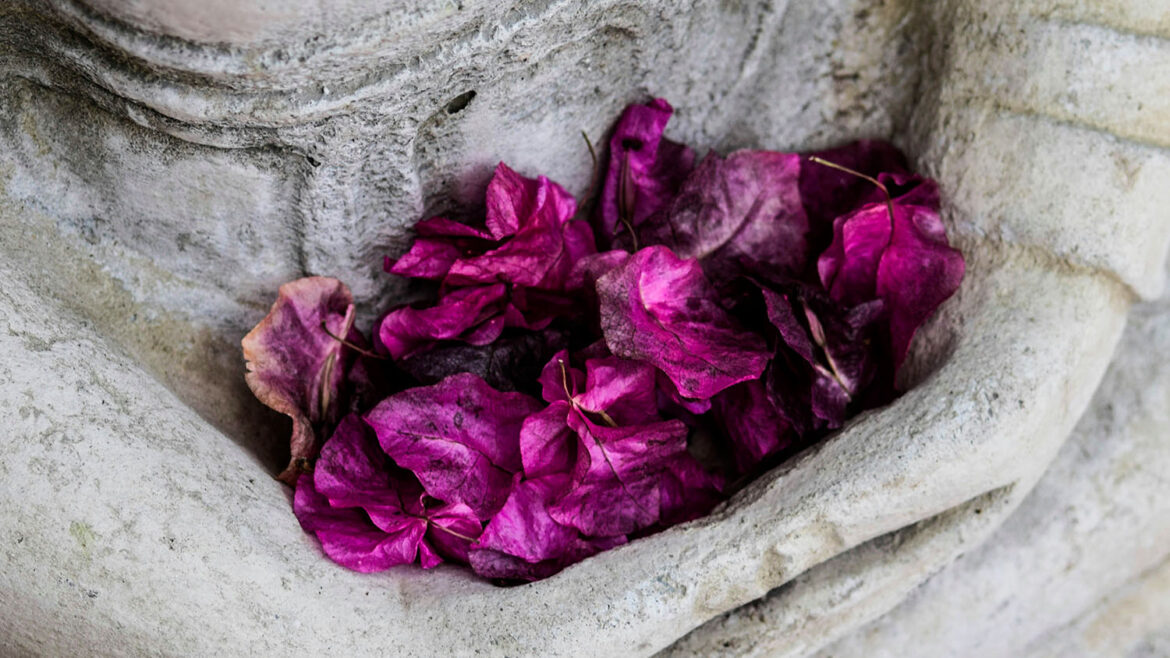Corso di meditazione a Firenze con Druma Yoga di Firenze