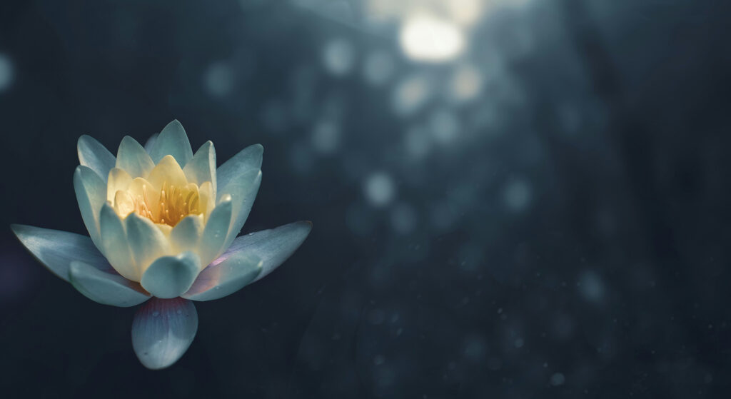 Druma Yoga: corsi settimanali e mensili di Hatha Yoga, meditazione, buddhismo, filosofia yoga a Firenze